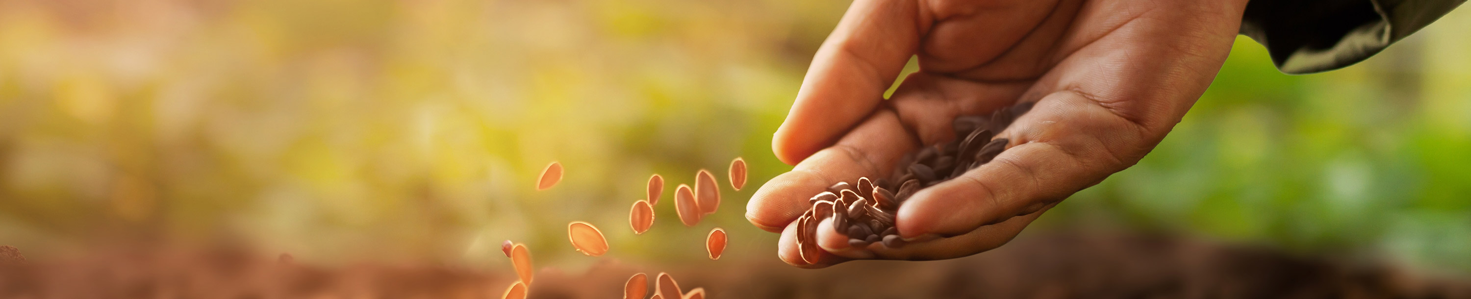 College of Agriculture & Environmental Sciences