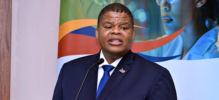 Hon-David-Mahlobo-WI_Teaser.png