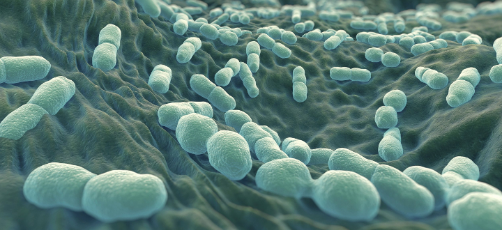 Teaser_GTY_listeria_jef_150409.jpg.jpg